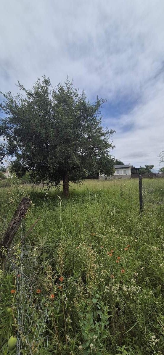 Lote Esquina en Villa Parque Siquiman con Vistas Increíbles Al Lago y Las Sierra 3
