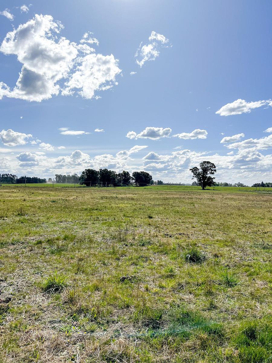 Lote en Venta en PH Zona El Hornero 1