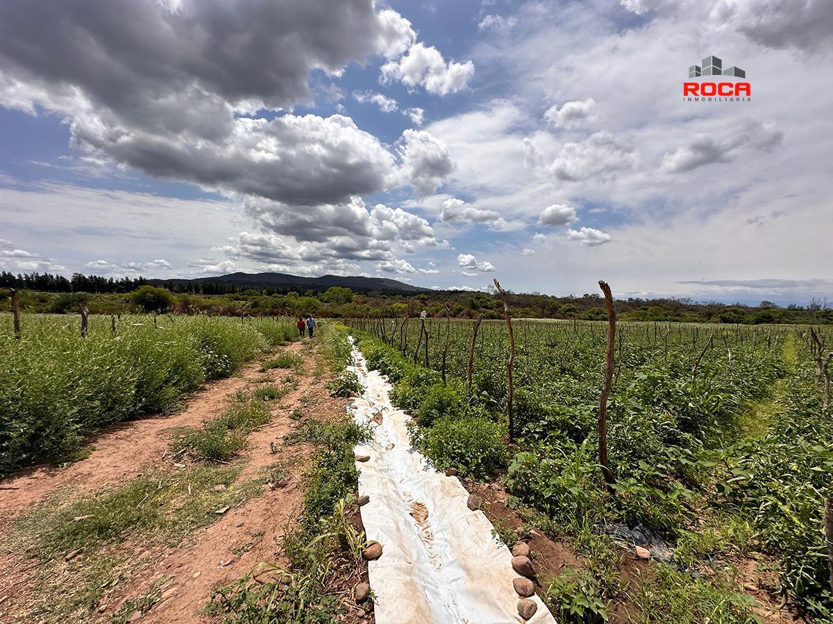 Foto de Finca De 52ha Aguas Calientes - Jujuy Ideal Verdura., imagen 5