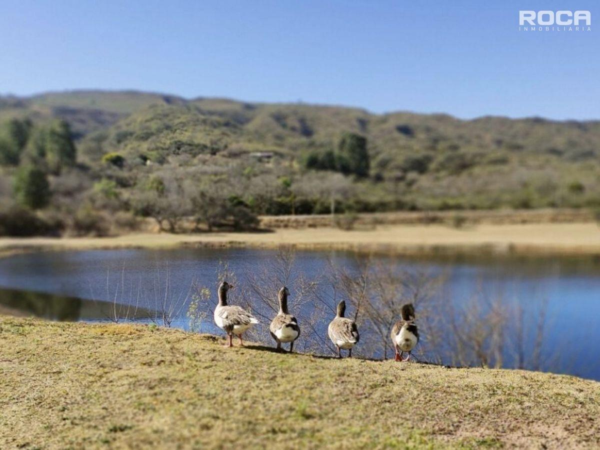 Foto de Terreno en Club de Campo La Almona, imagen 5