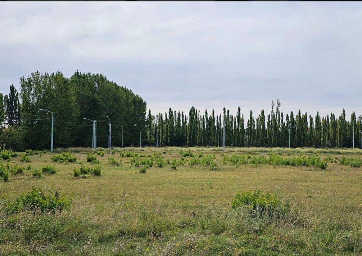 OPORTUNIDAD DE INVERSIÓN | 2 LOTES CONTIGUOS EN JARDINES DE PLOTTIER