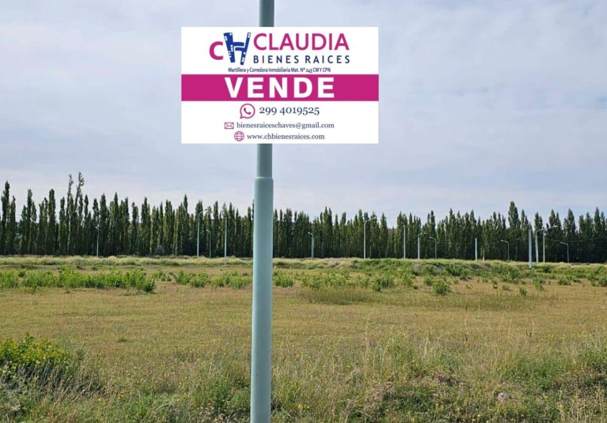 Foto de OPORTUNIDAD DE INVERSIÓN | 2 LOTES CONTIGUOS EN JARDINES DE PLOTTIER, imagen 3