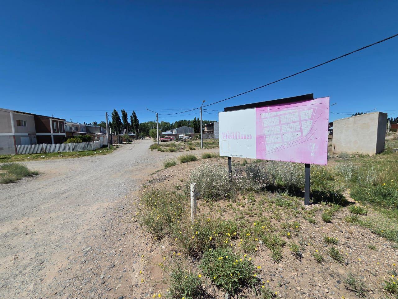 Lote . | Lusitano