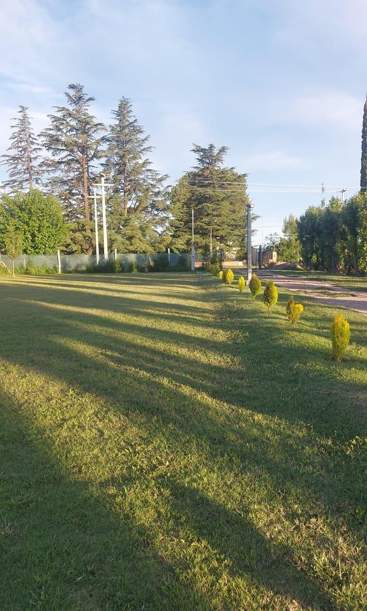 Se Vende Casa con Pileta y Amplio Terreno en San Rafael Mendoza 5