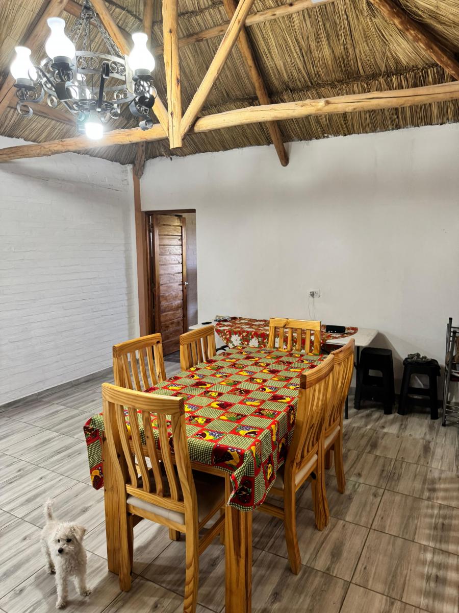 Se Vende Casa con Pileta y Amplio Terreno en San Rafael Mendoza 2