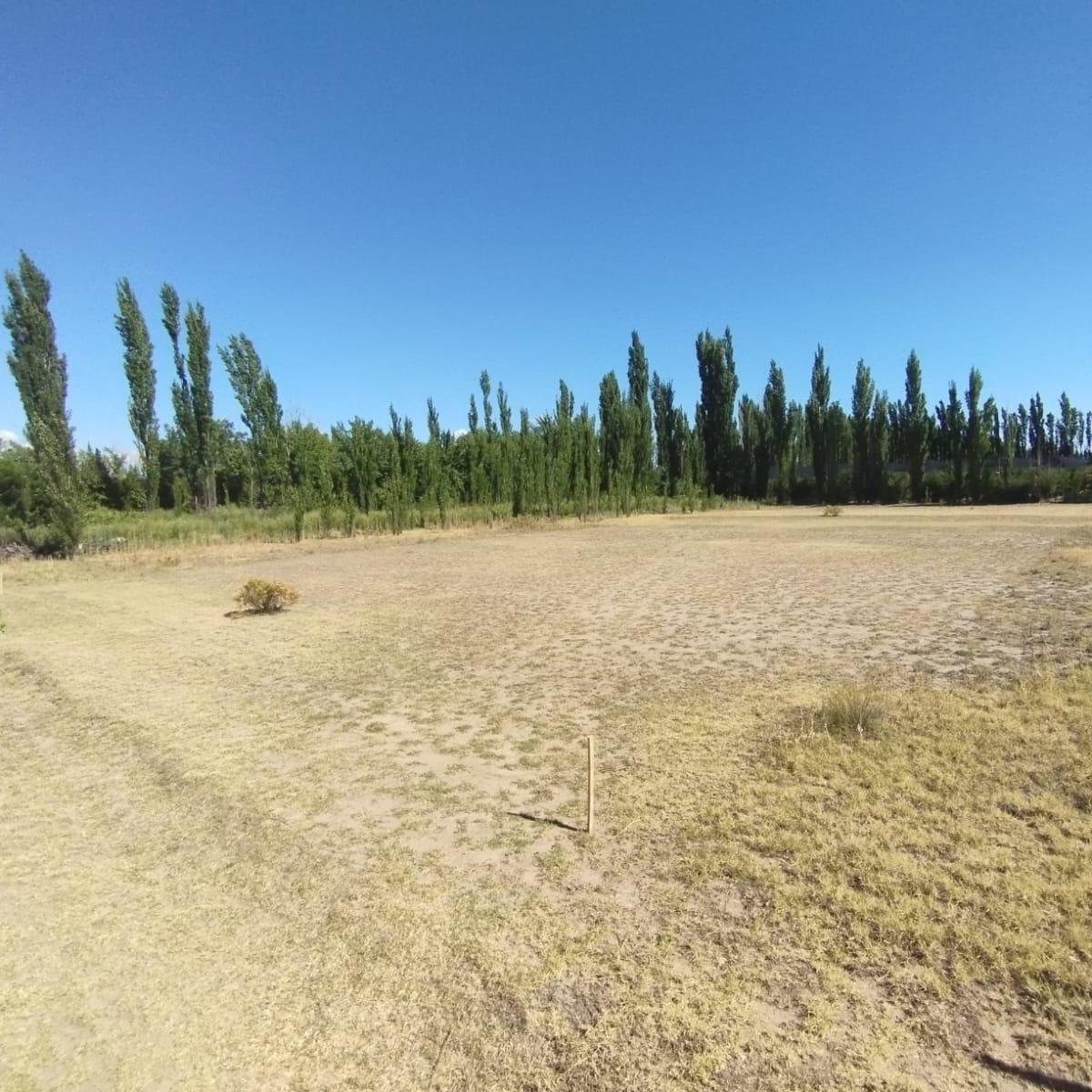 Amplio Terreno en San Rafael Mendoza. 5