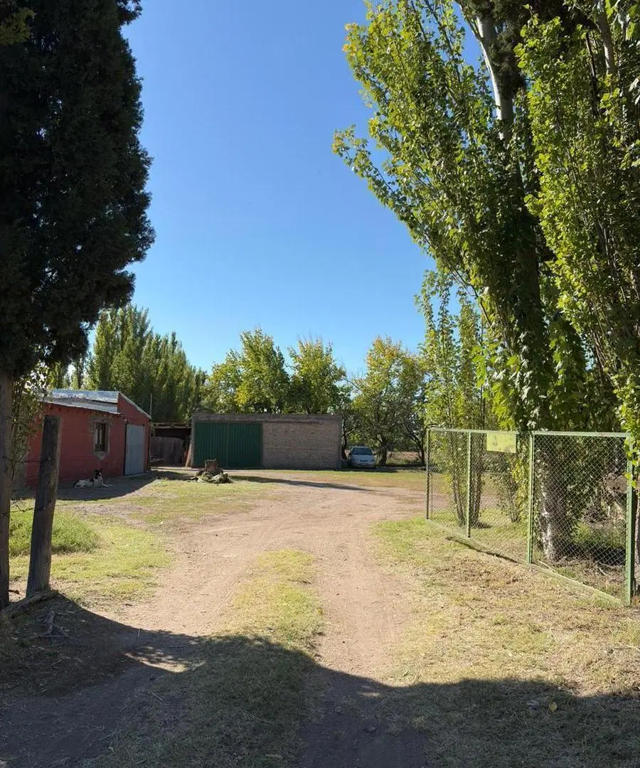 Casa quinta en General Alvear - Mendoza 4