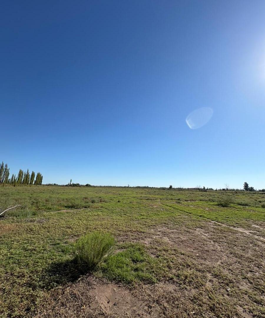 Foto de Terreno en Real Del Padre, imagen 2