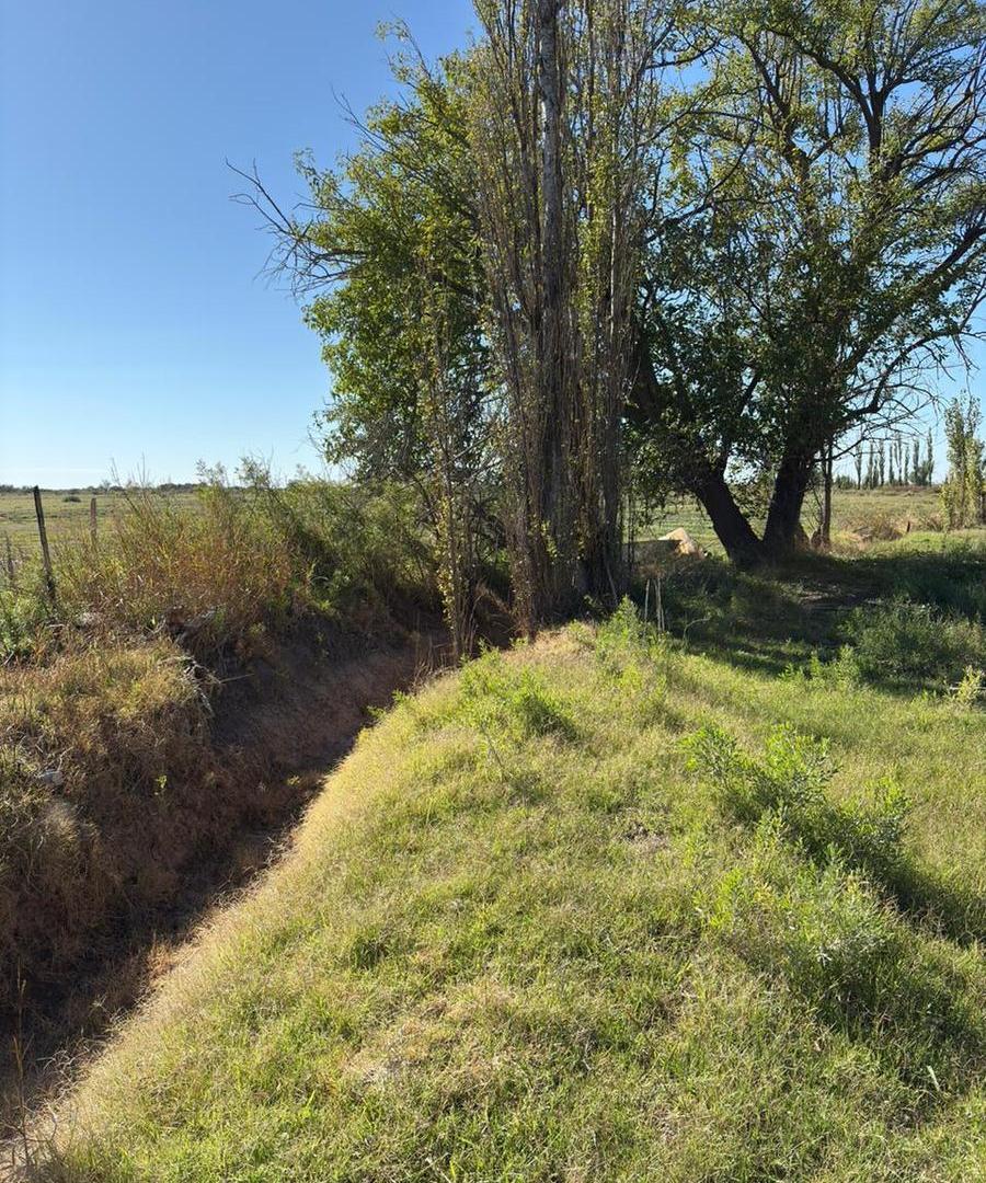Foto de Terreno en Real Del Padre, imagen 4