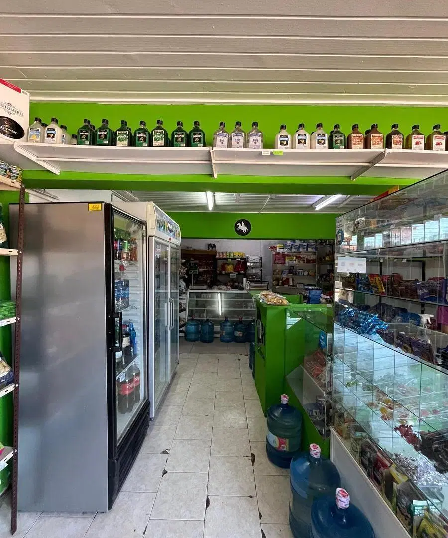 Locales y Casa en centro de General Alvear 2