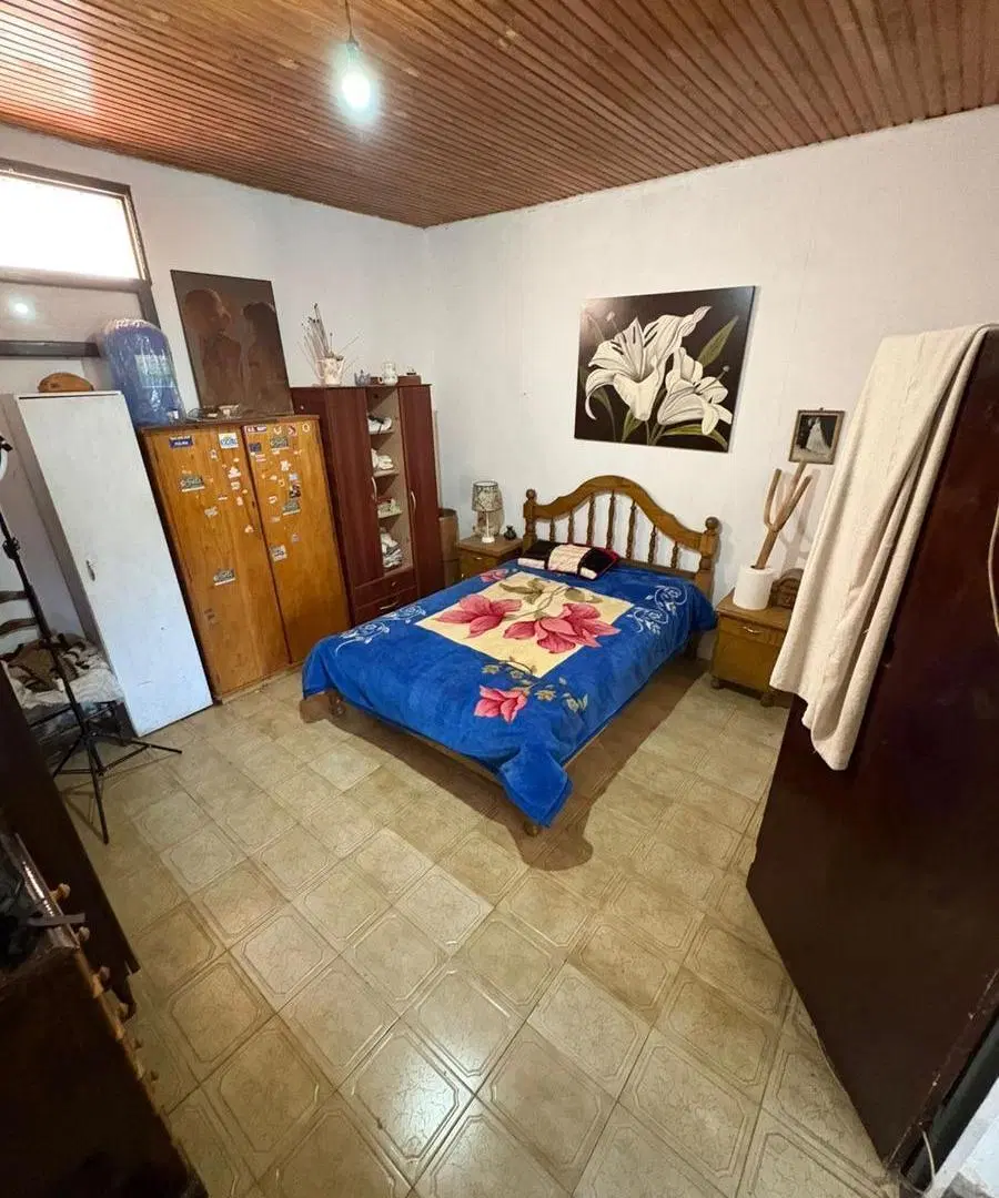 Locales y Casa en centro de General Alvear 1