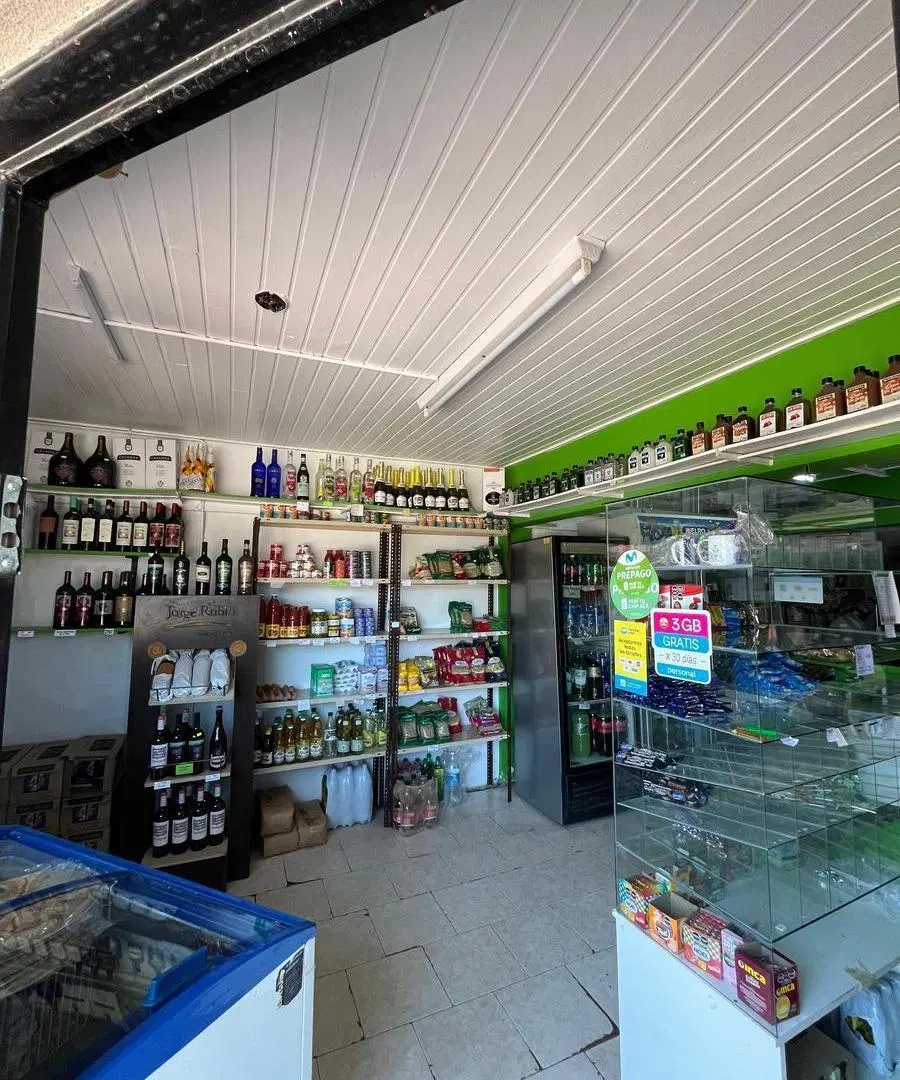 Locales y Casa en centro de General Alvear 5