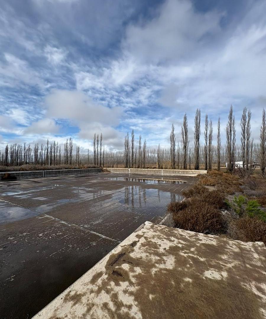 Foto de Finca 48 hectareas en General Alvear, imagen 2