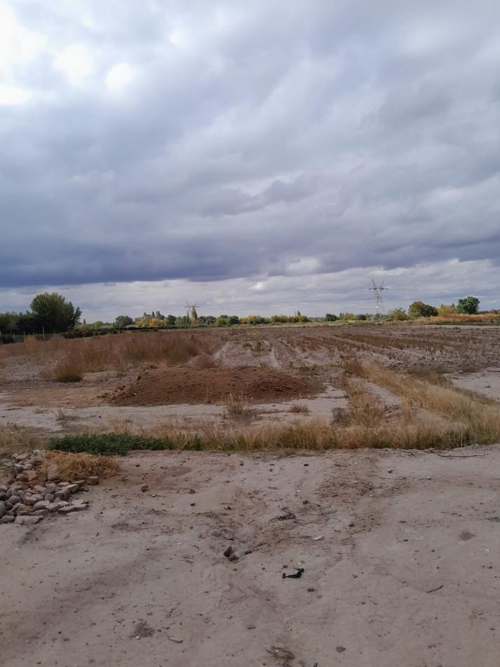Foto de VENTA TERRENO SOBRE CARRIL NACIONAL 3 HA. IDEAL DESARROLLO, imagen 5