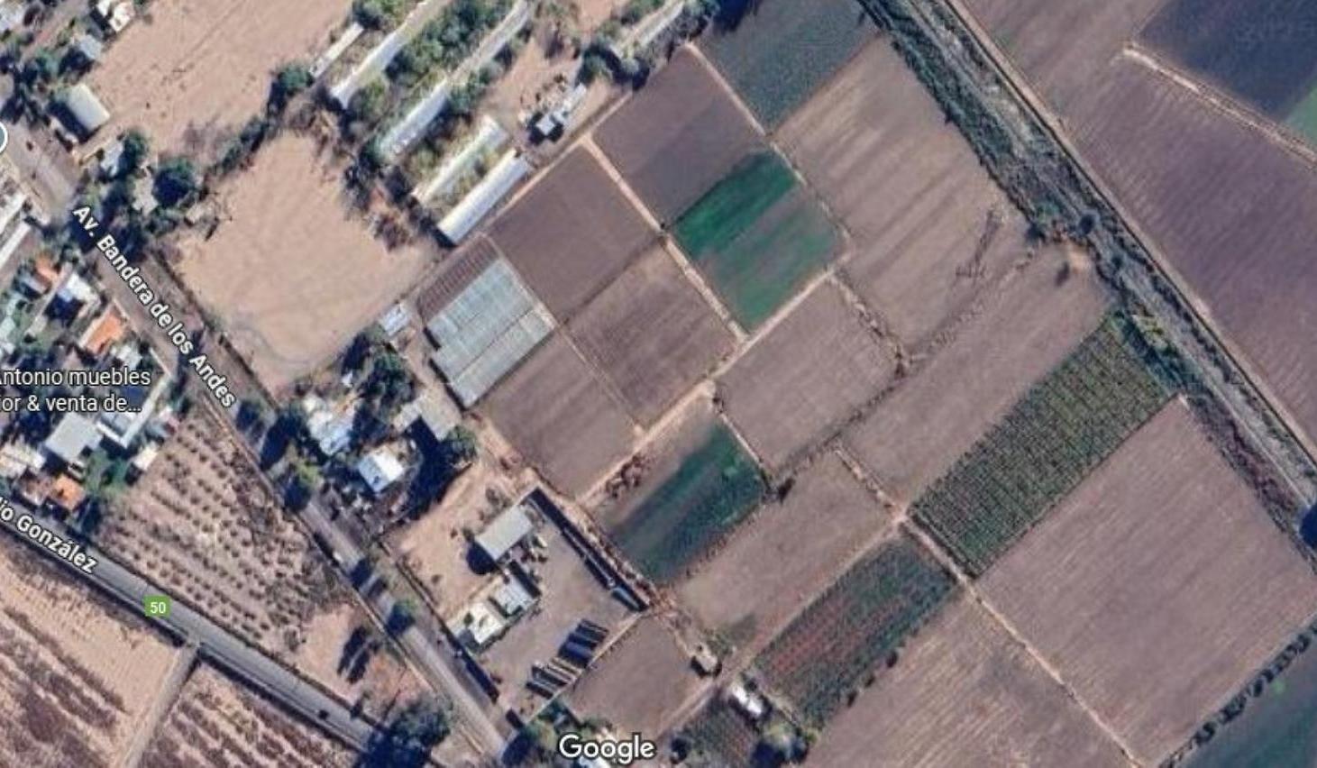Foto de VENTA TERRENO SOBRE CARRIL NACIONAL 3 HA. IDEAL DESARROLLO, imagen 3
