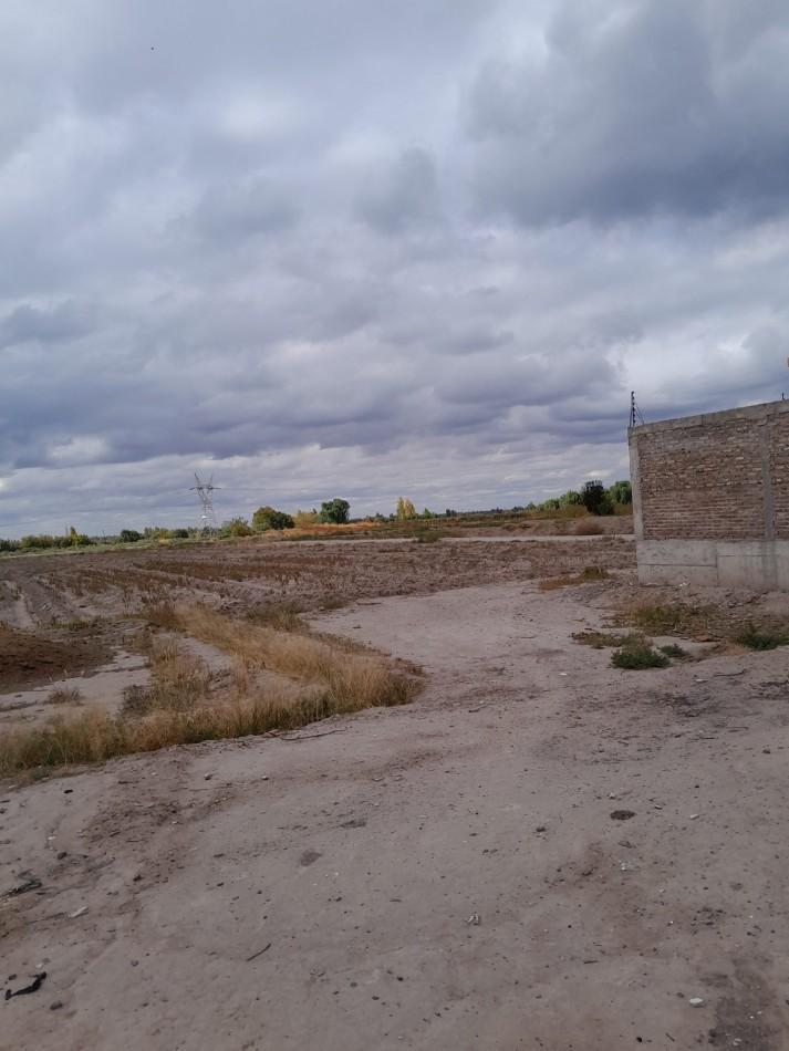 Foto de VENTA TERRENO SOBRE CARRIL NACIONAL 3 HA. IDEAL DESARROLLO, imagen 4