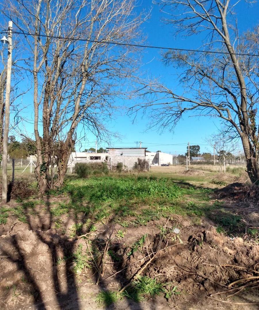 Terreno en venta en Arturo Segui