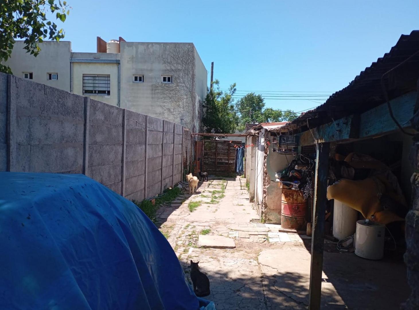 Foto de Casa en Tolosa, imagen 4