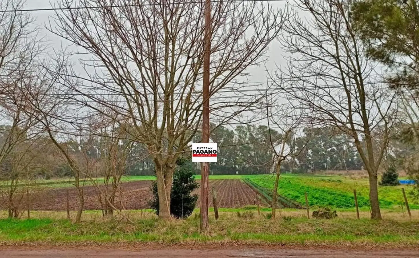 Campo en venta en Gorina 5