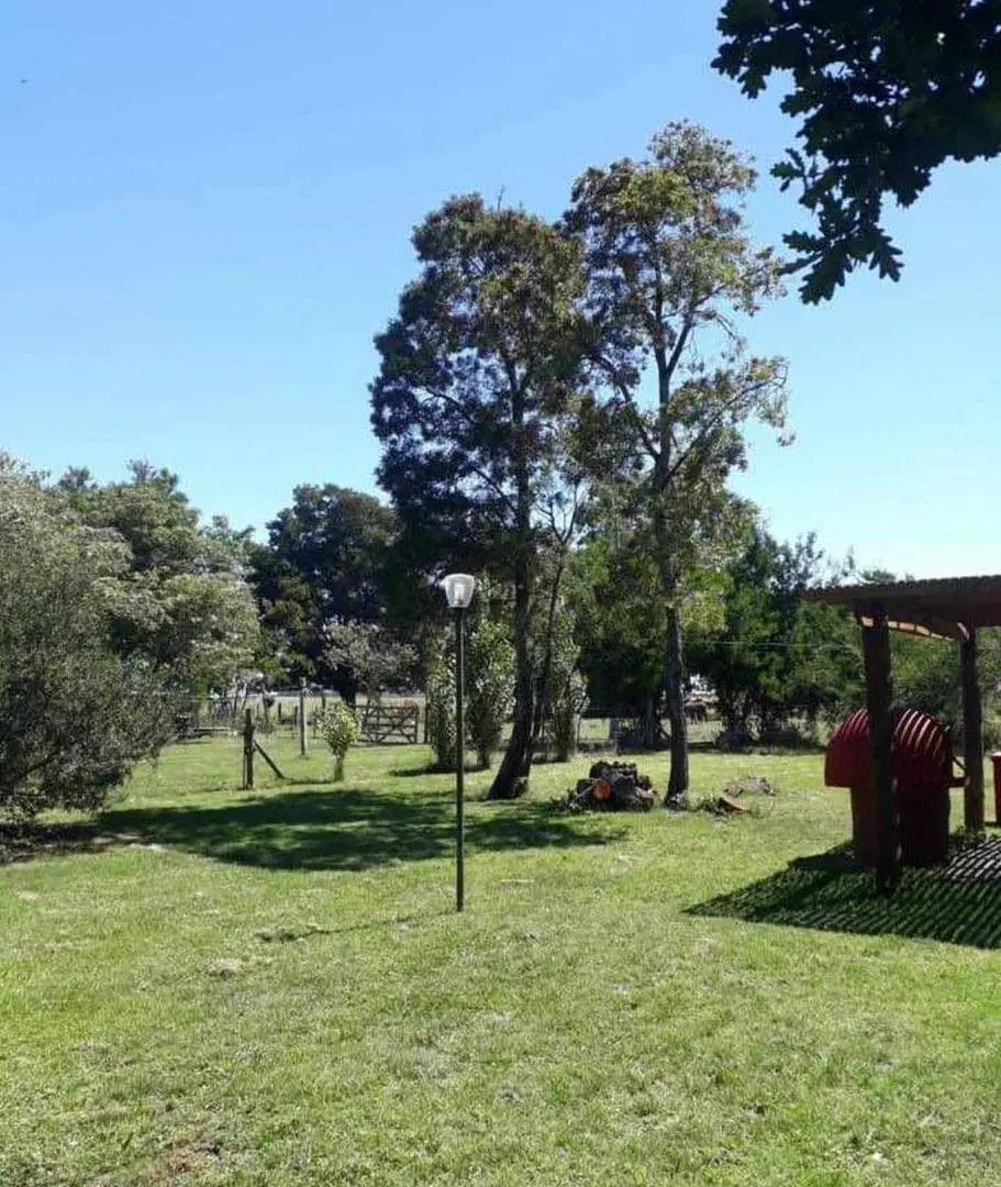 Campo en Venta en General Madariaga 825 hectáreas 5