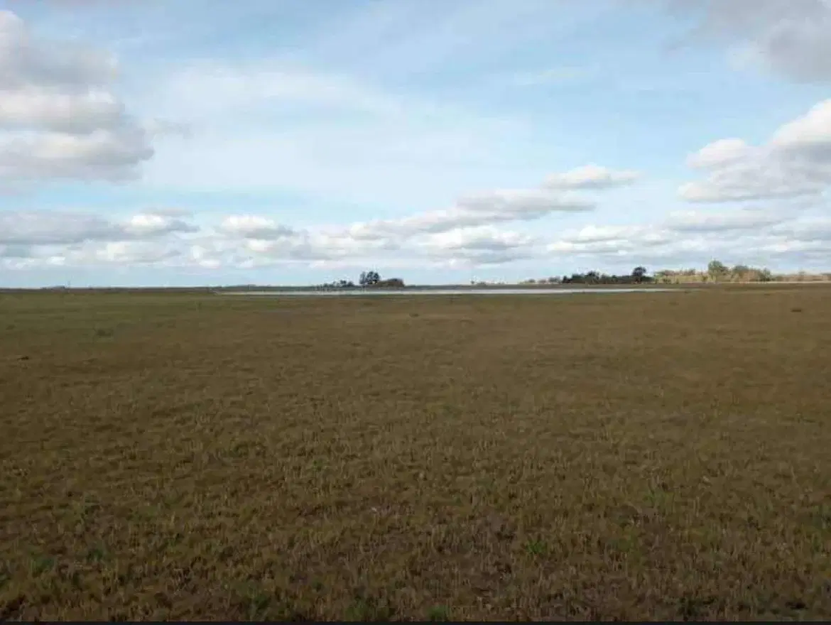 Campo en Venta en General Madariaga 825 hectáreas 2