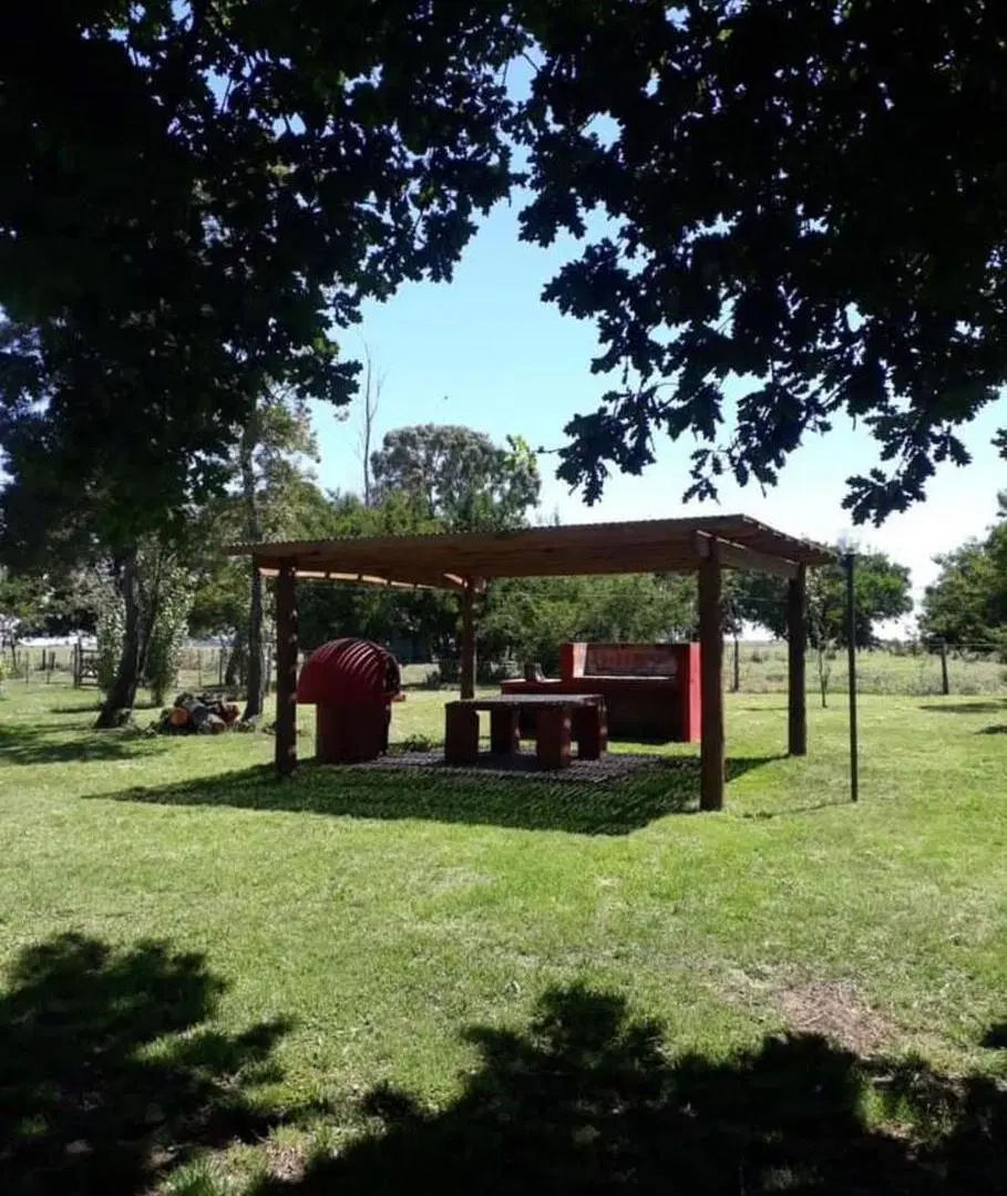 Campo en Venta en General Madariaga 825 hectáreas 3
