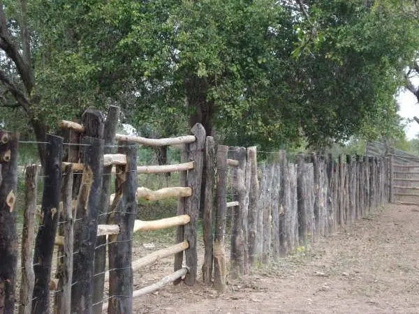 Campo en venta en Coronel Juan Sola SALTA 3