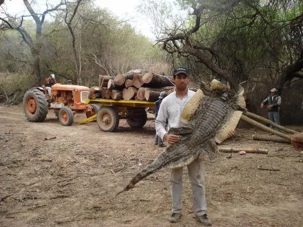 Campo en venta en Coronel Juan Sola SALTA 4