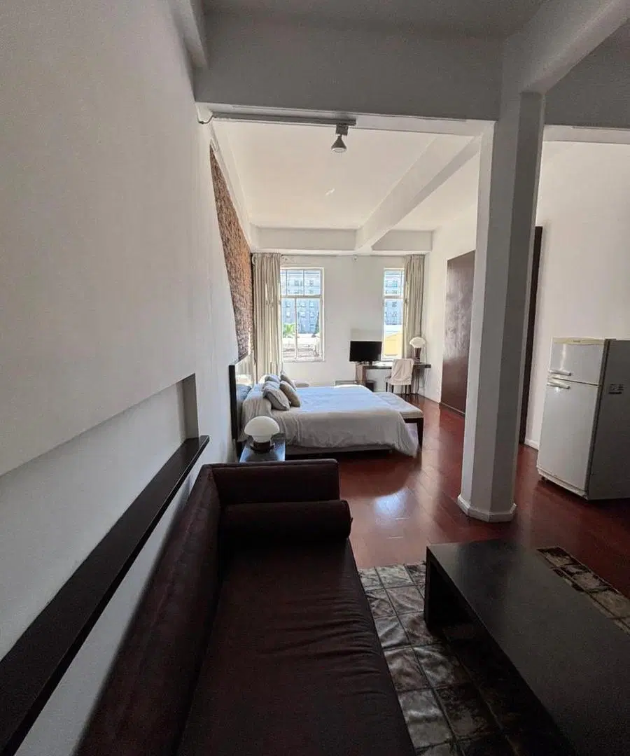 DEPARTAMENTO MONOAMBIENTE-SAN TELMO-ALQUILER TEMPORAL 5