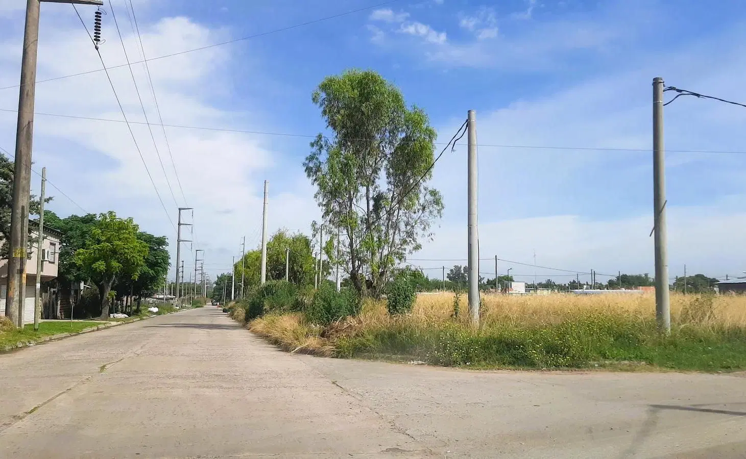 Terreno en San Carlos 5
