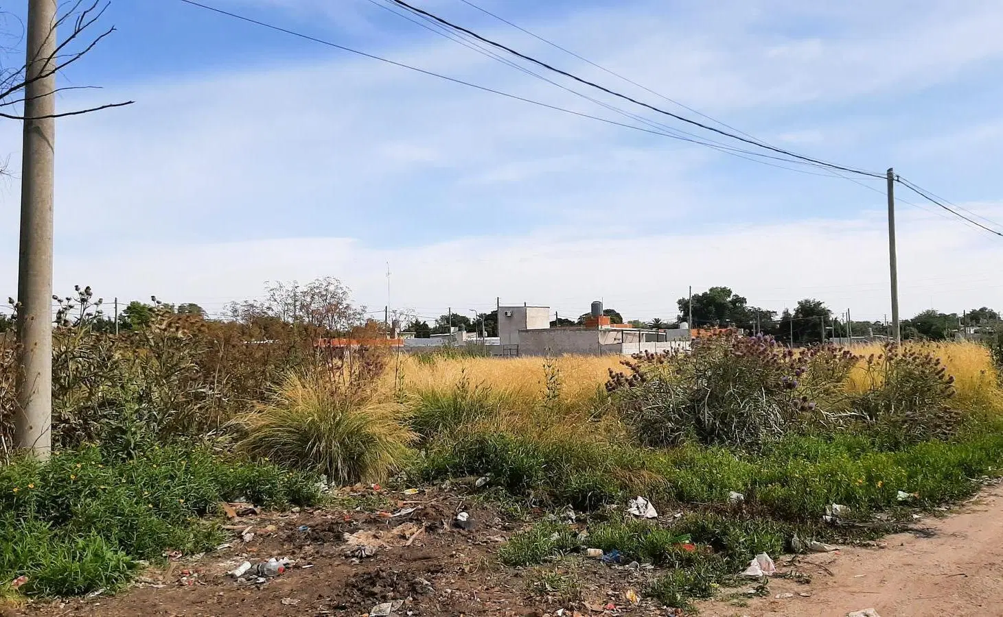 Terreno en San Carlos 3