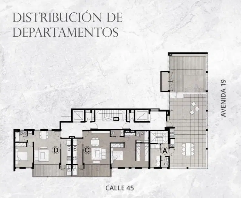 Plano 4
