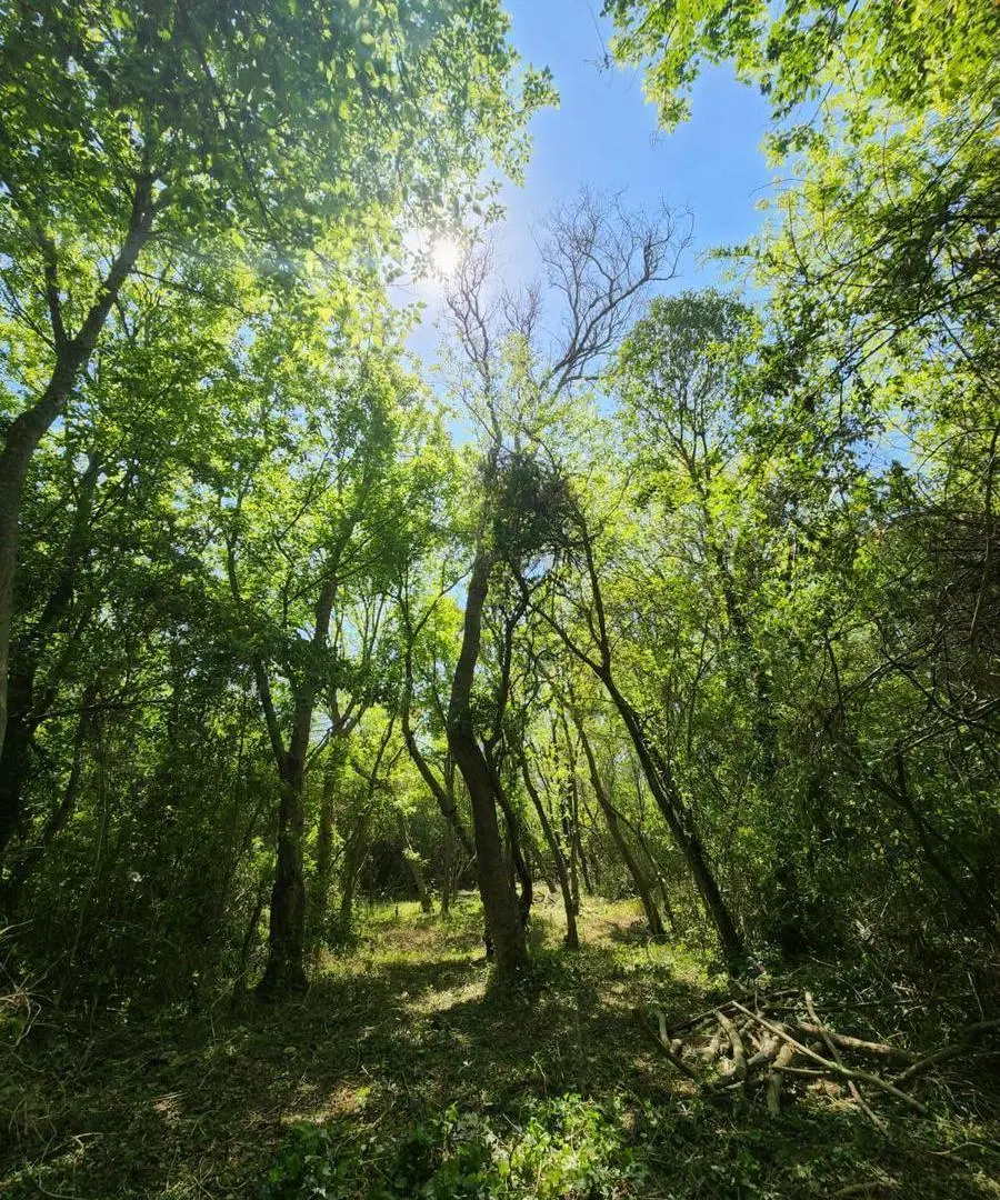 Terreno en  ISLA SANTIAGO 4