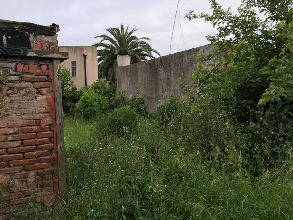 Terreno - La Plata 3