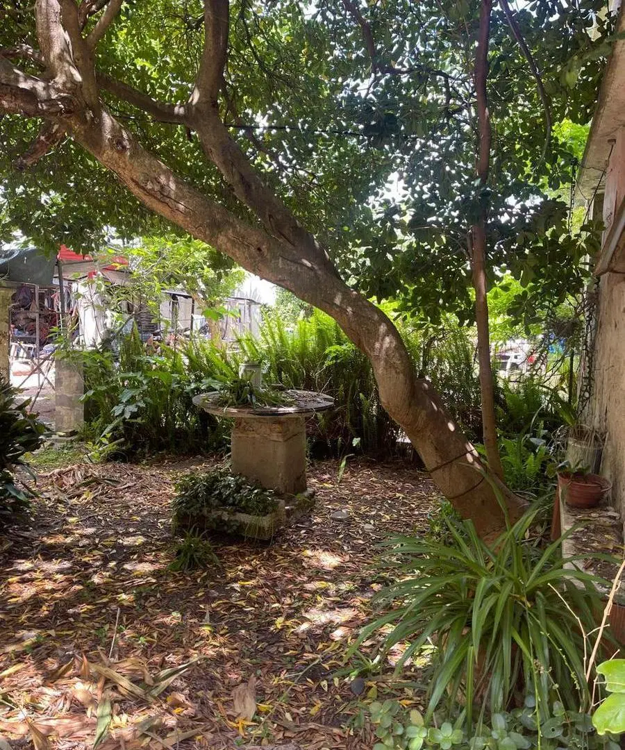 Casa a reciclar en venta en Ensenada 2
