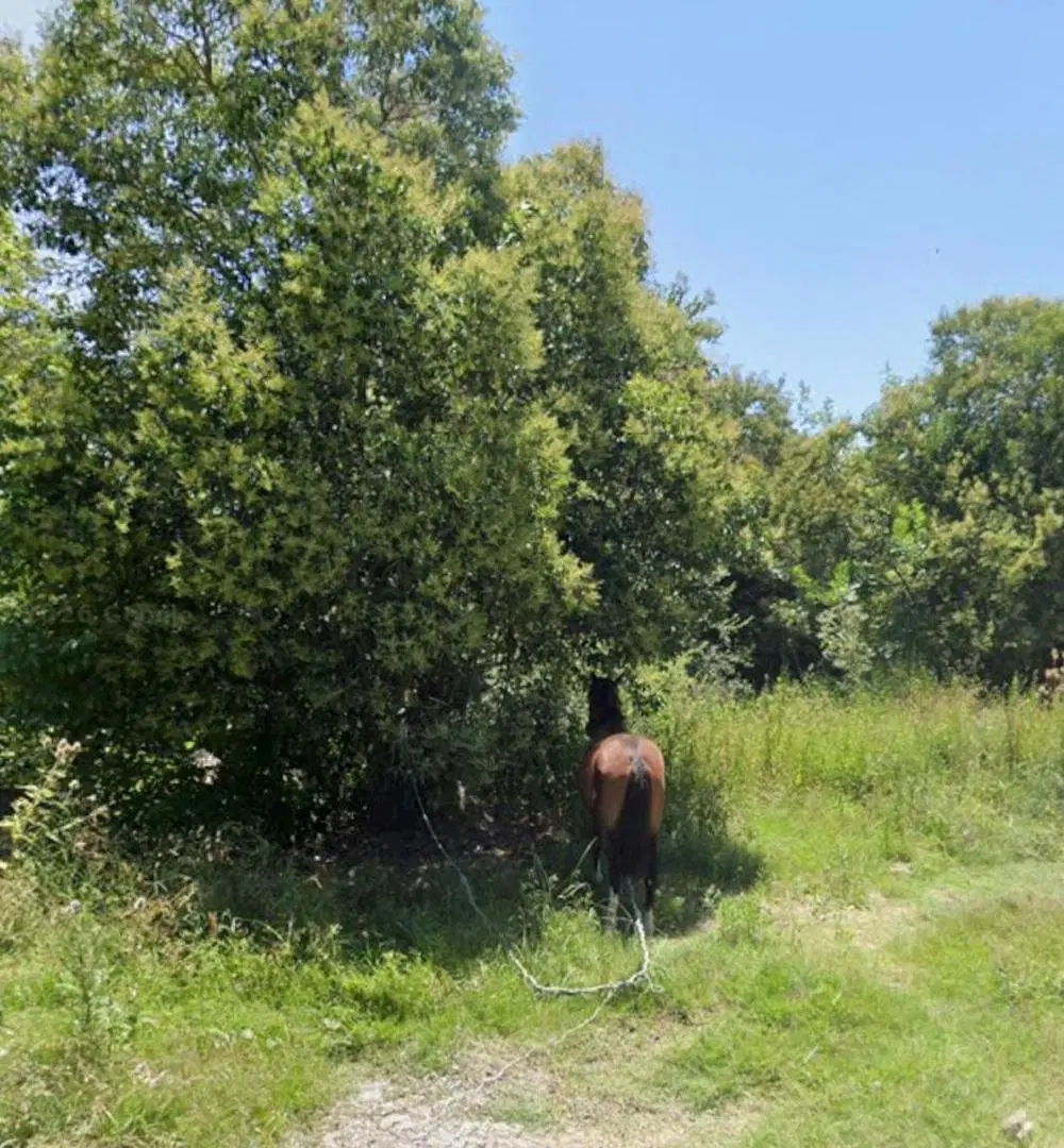 Terreno en venta en punta lara 2