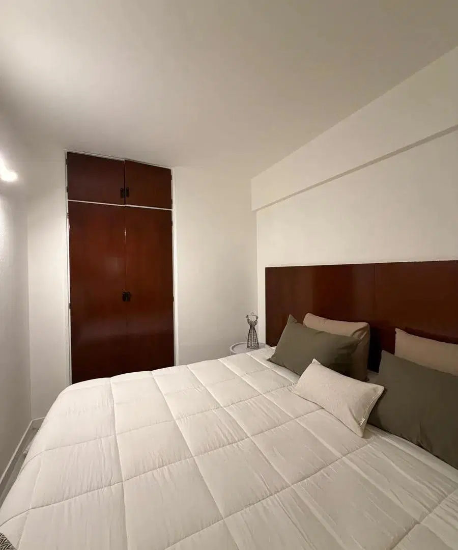 DEPARTAMENTO MONOAMBIENTE-RETIRO-ALQUILER TEMPORAL 3