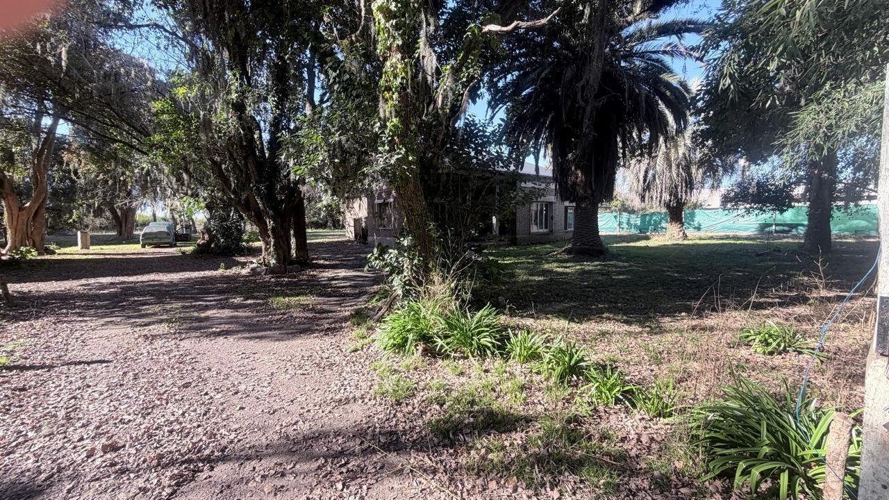 Foto de Casa en Lisandro Olmos Etcheverry en alquiler, imagen 3