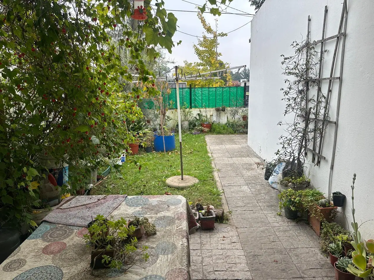 Casa en Lisandro Olmos Etcheverry 5