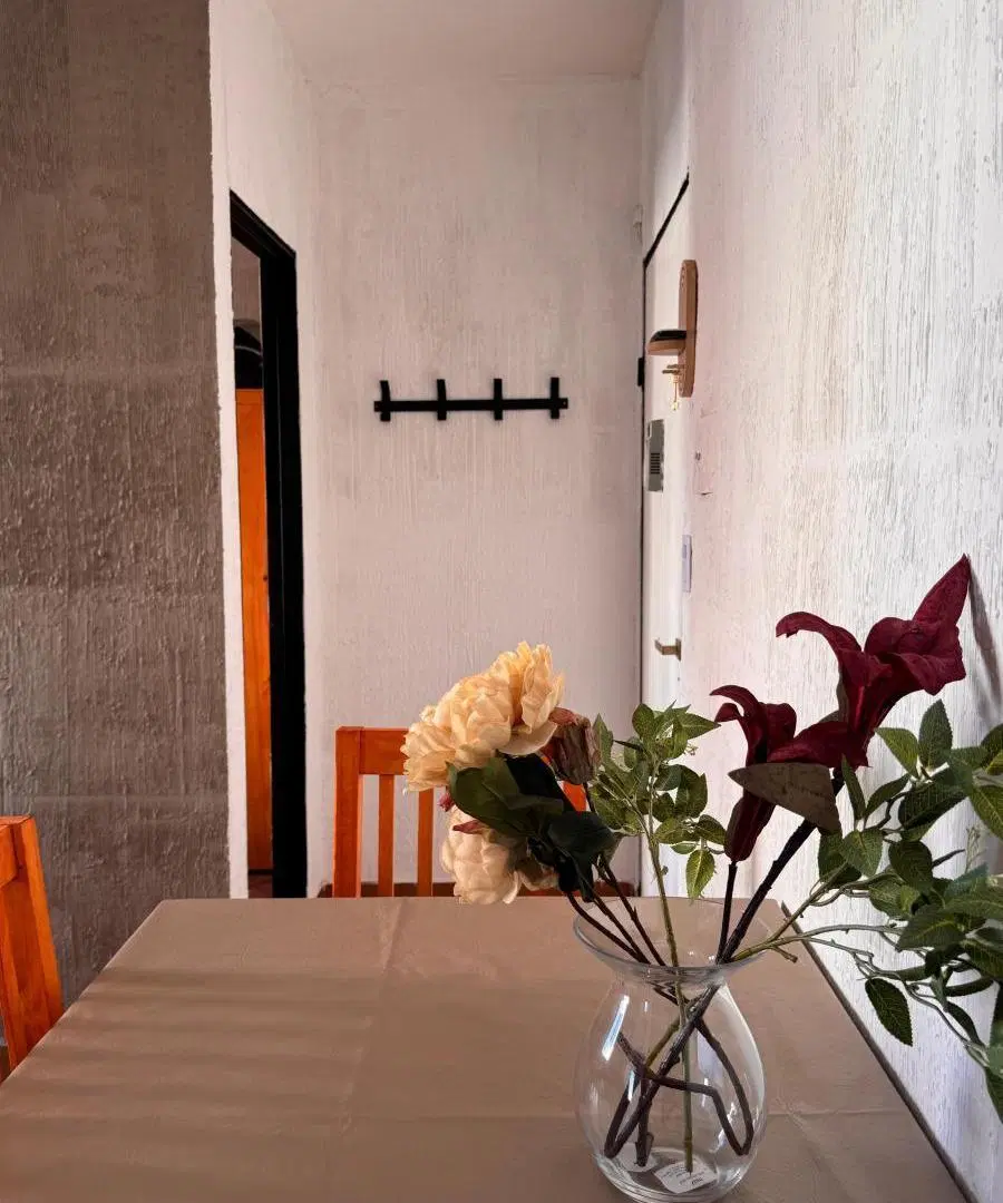 DEPARTAMENTO DOS AMBIENTES-BALVANERA-ALQUILER TEMPORAL 8