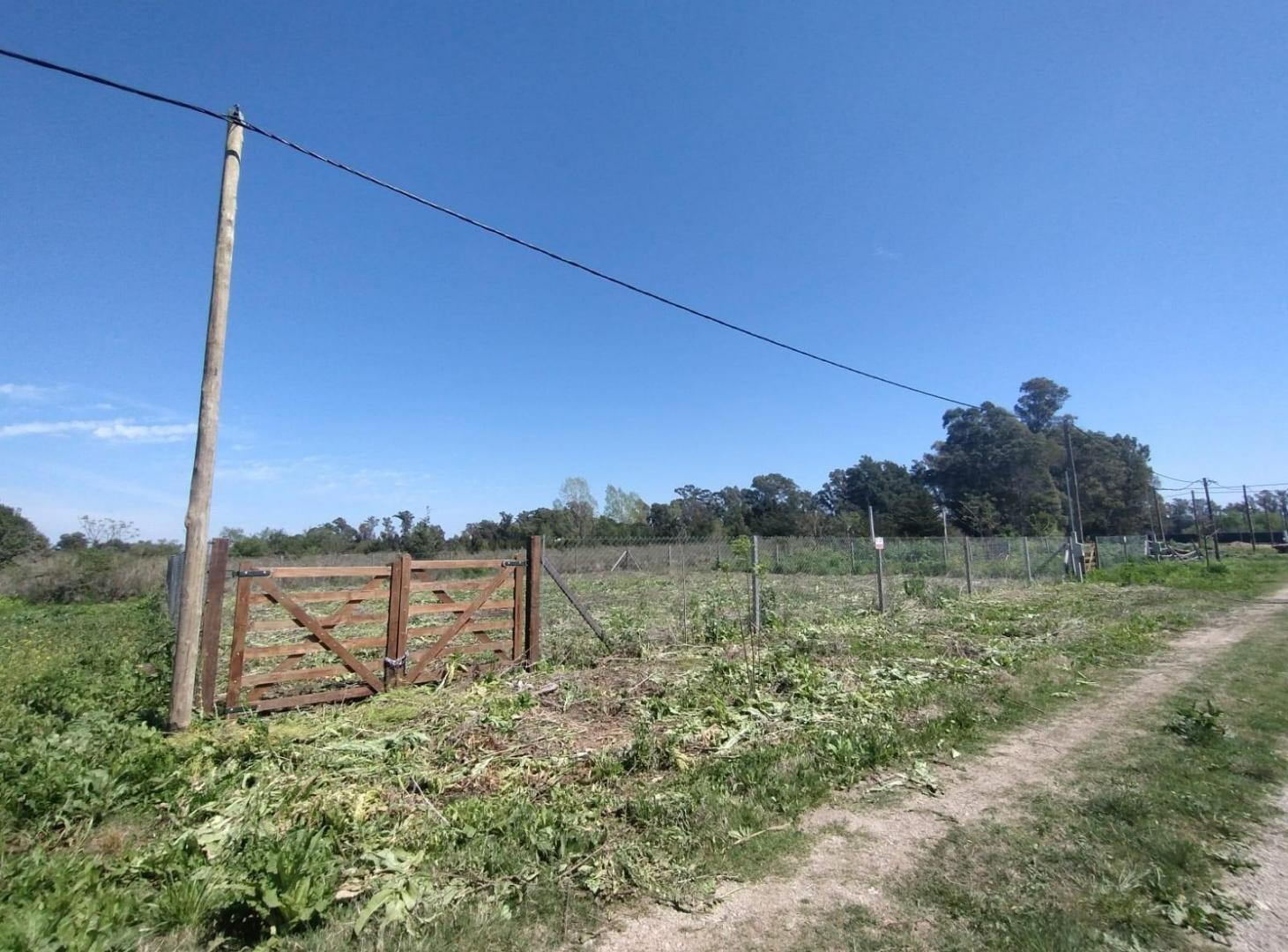 Foto de Terreno en Parque Sicardi, imagen 1