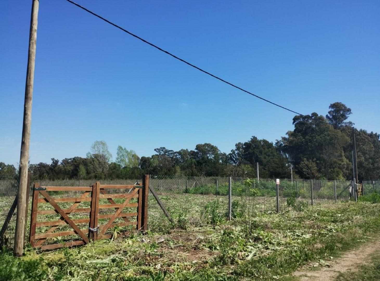 Foto de Terreno en Parque Sicardi, imagen 4