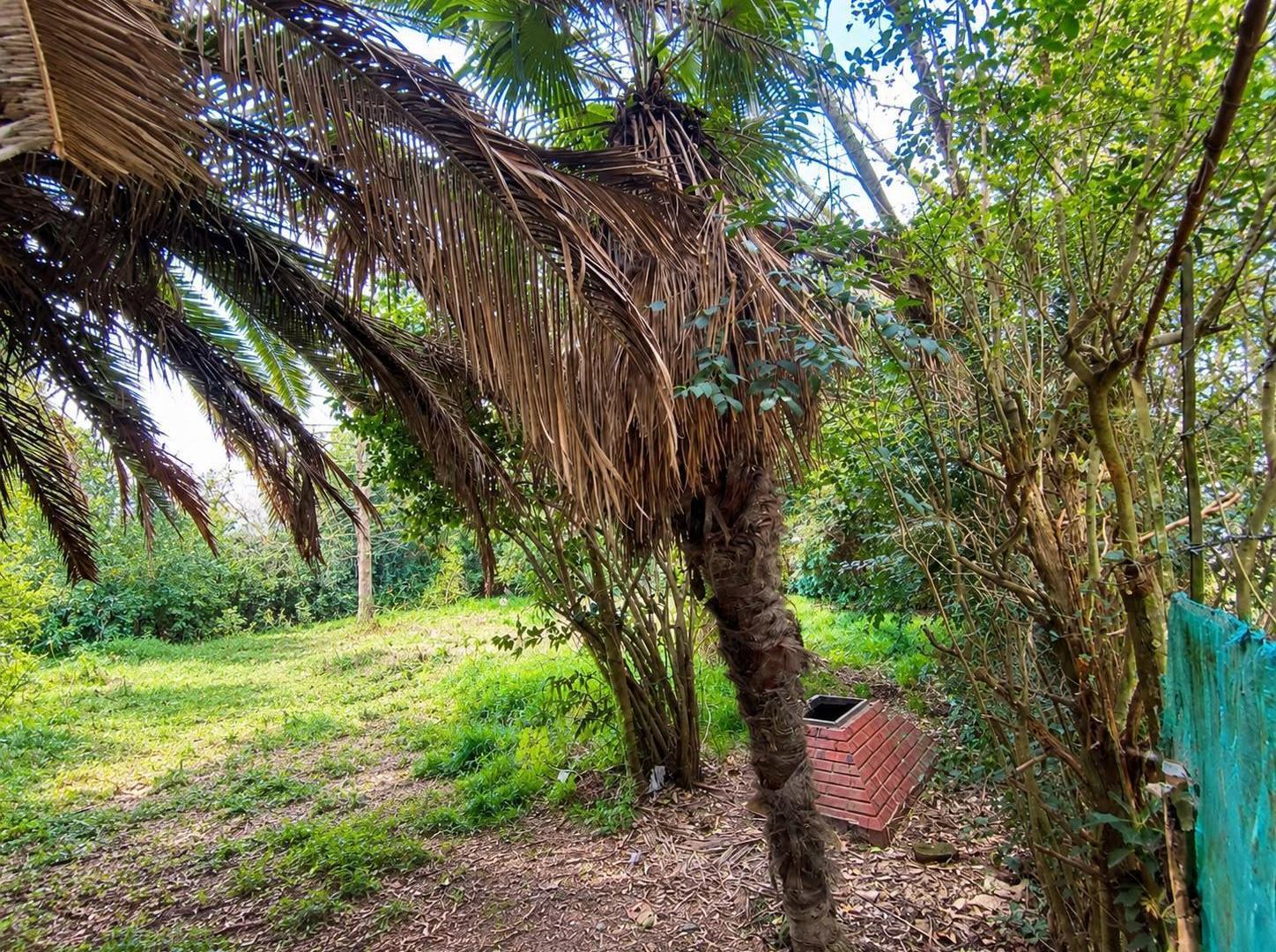 Foto de Lote en venta en Villa Elisa, imagen 2