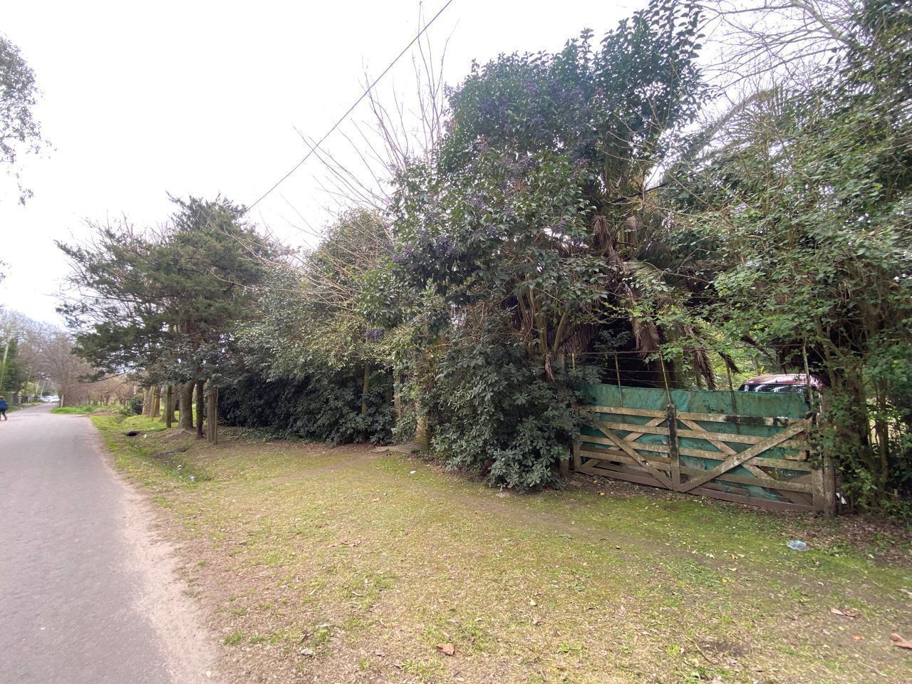 Foto de Lote en venta en Villa Elisa, imagen 3