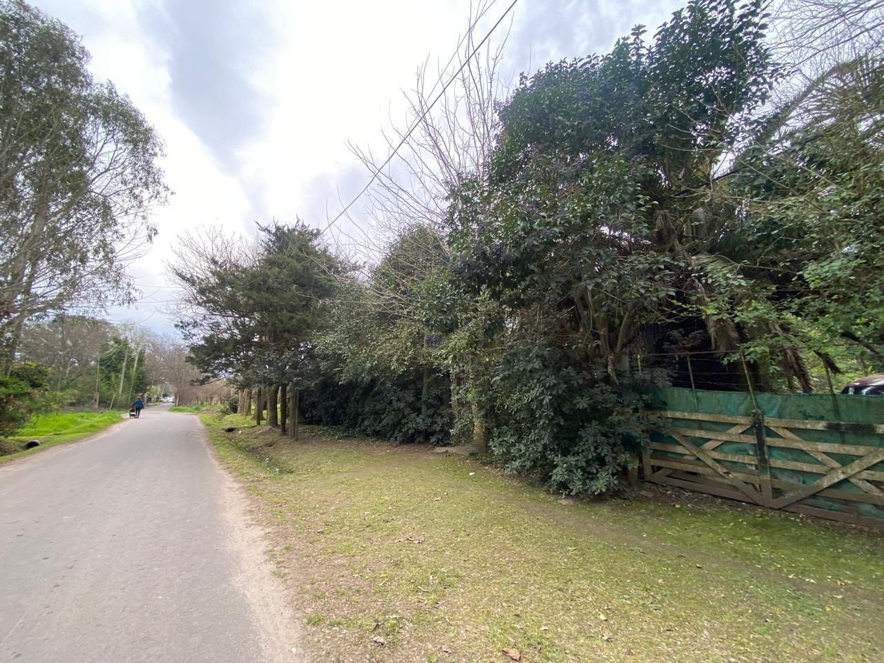 Foto de Lote en venta en Villa Elisa, imagen 1