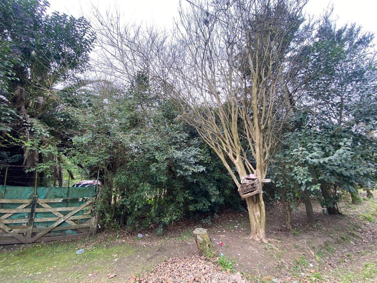 Foto de Lote en venta en Villa Elisa, imagen 4
