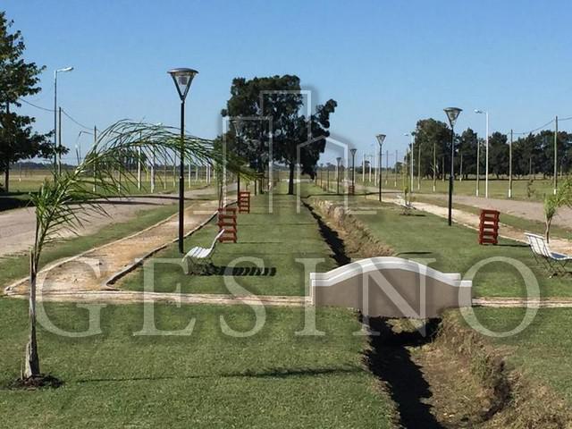 Foto de Terreno - Nueva Hermosura, imagen 2