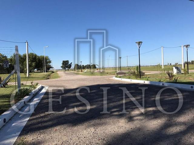 Foto de Terreno - Nueva Hermosura, imagen 3