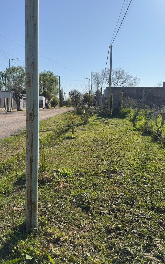 Foto de Terreno en venta - Berisso, imagen 3