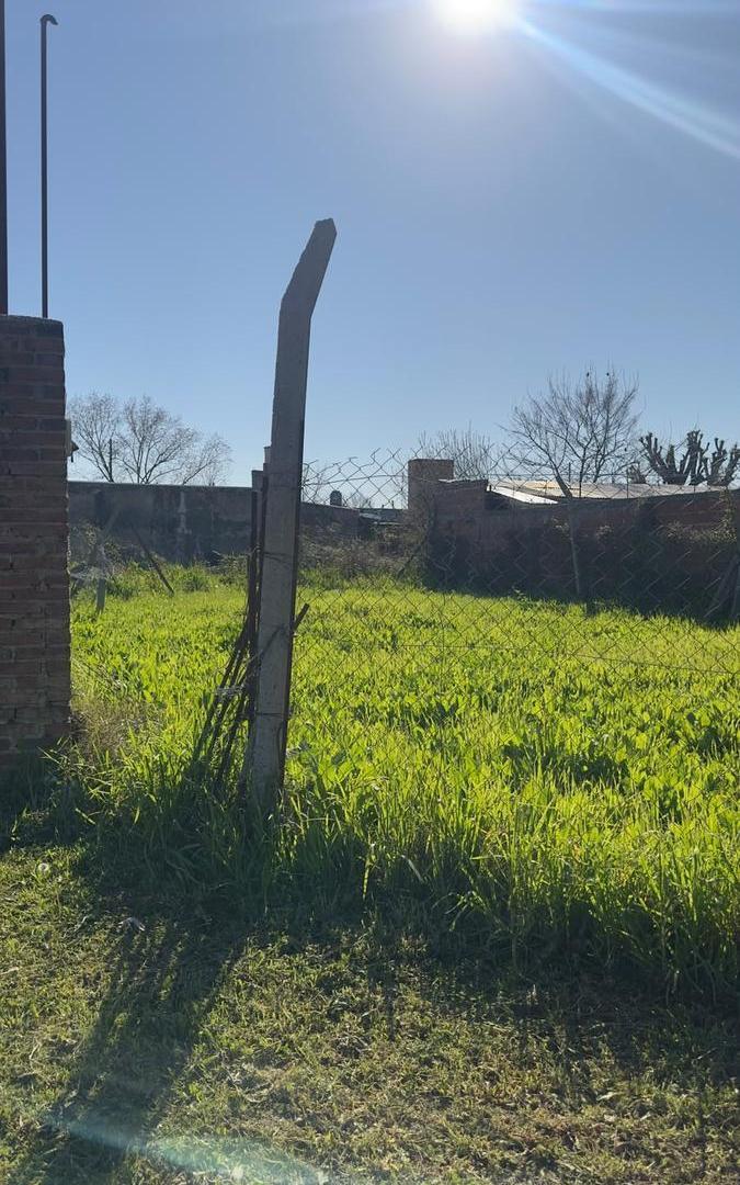 Foto de Terreno en venta - Berisso, imagen 5